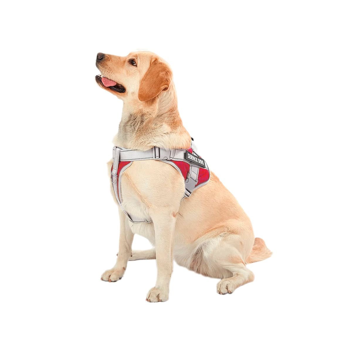 HARNESS PROFESIONAL SERVICE DOG TALLA XL ROJO CON ASA Y+PAPEL REGALO - 1