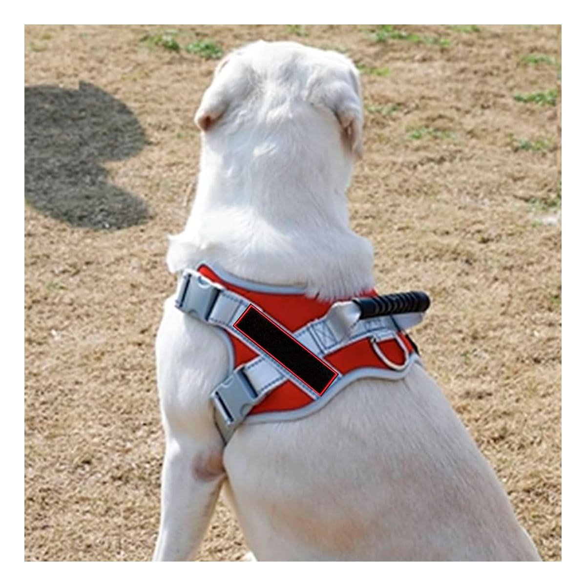 HARNESS PROFESIONAL SERVICE DOG TALLA XL ROJO CON ASA Y+PAPEL REGALO - 5