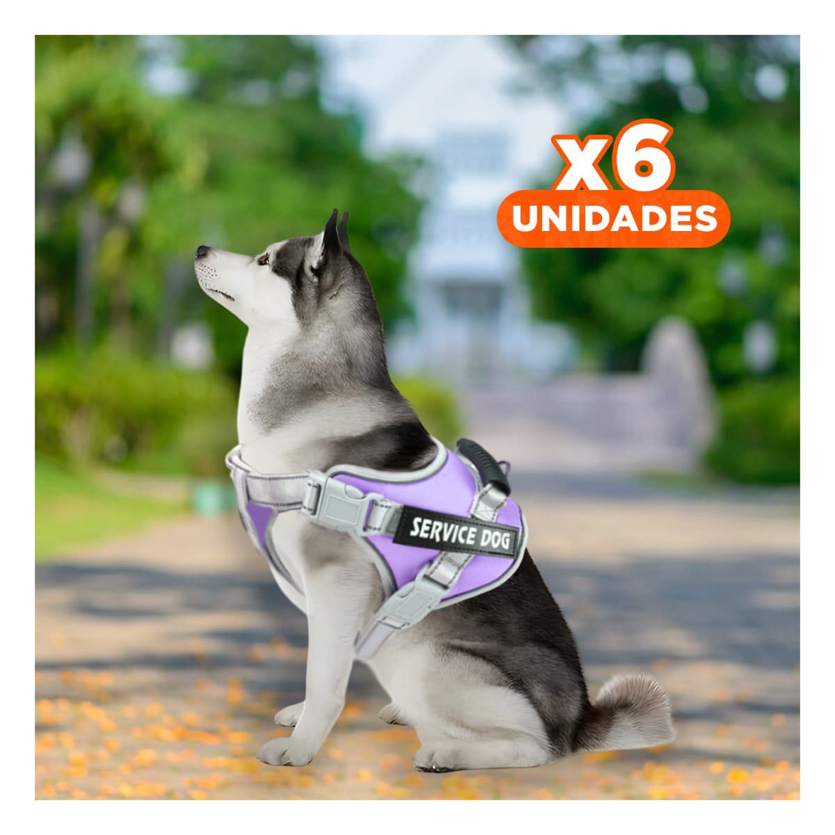 PACK6 PECHERA COMODA SERVICE DOG TALLA L MORADO CON ASA Y+REGALO STICKER - 1