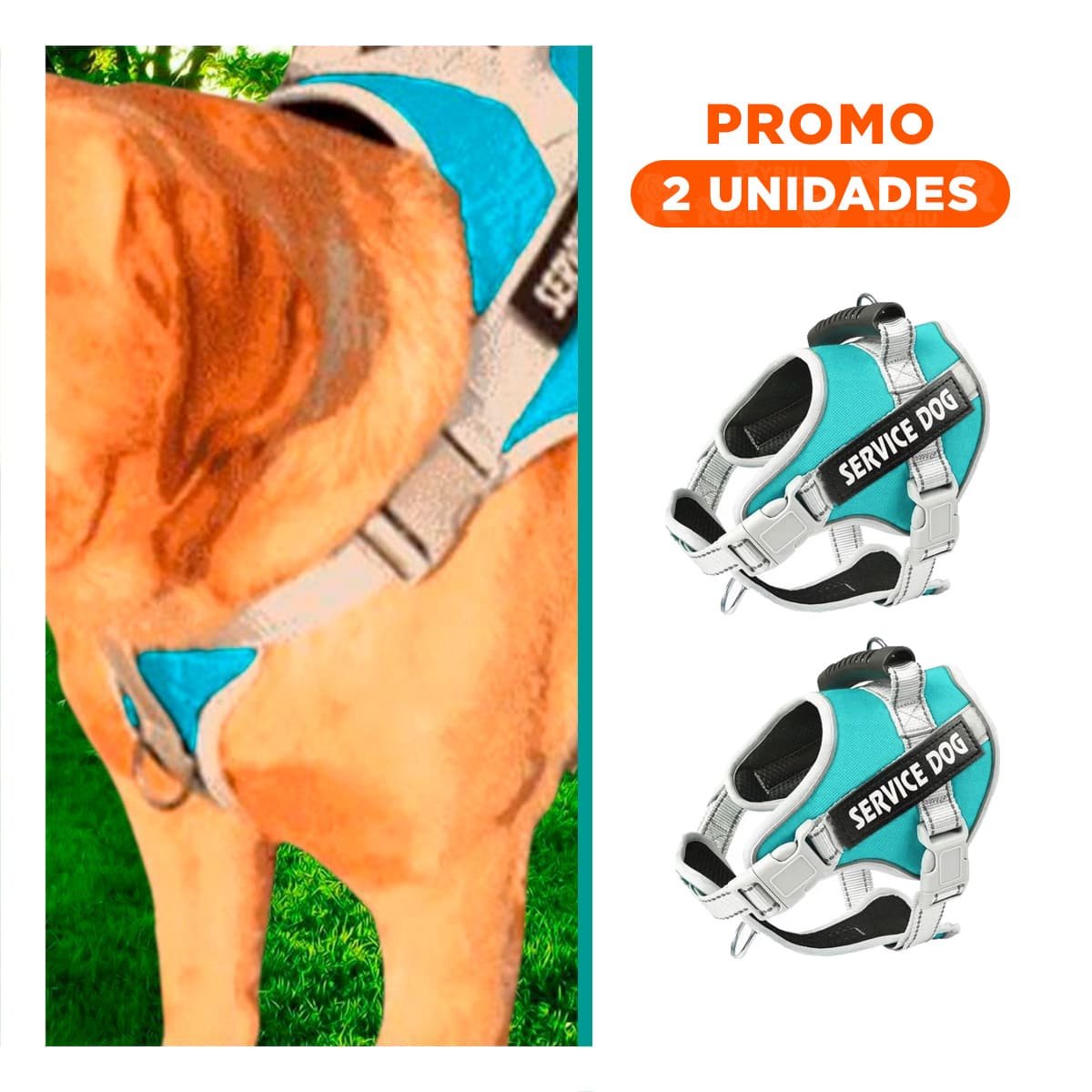 PACK2 CHALECO AJUSTABLE SERVICE DOG TALLA XL TURQUEZA CON ASA - 1