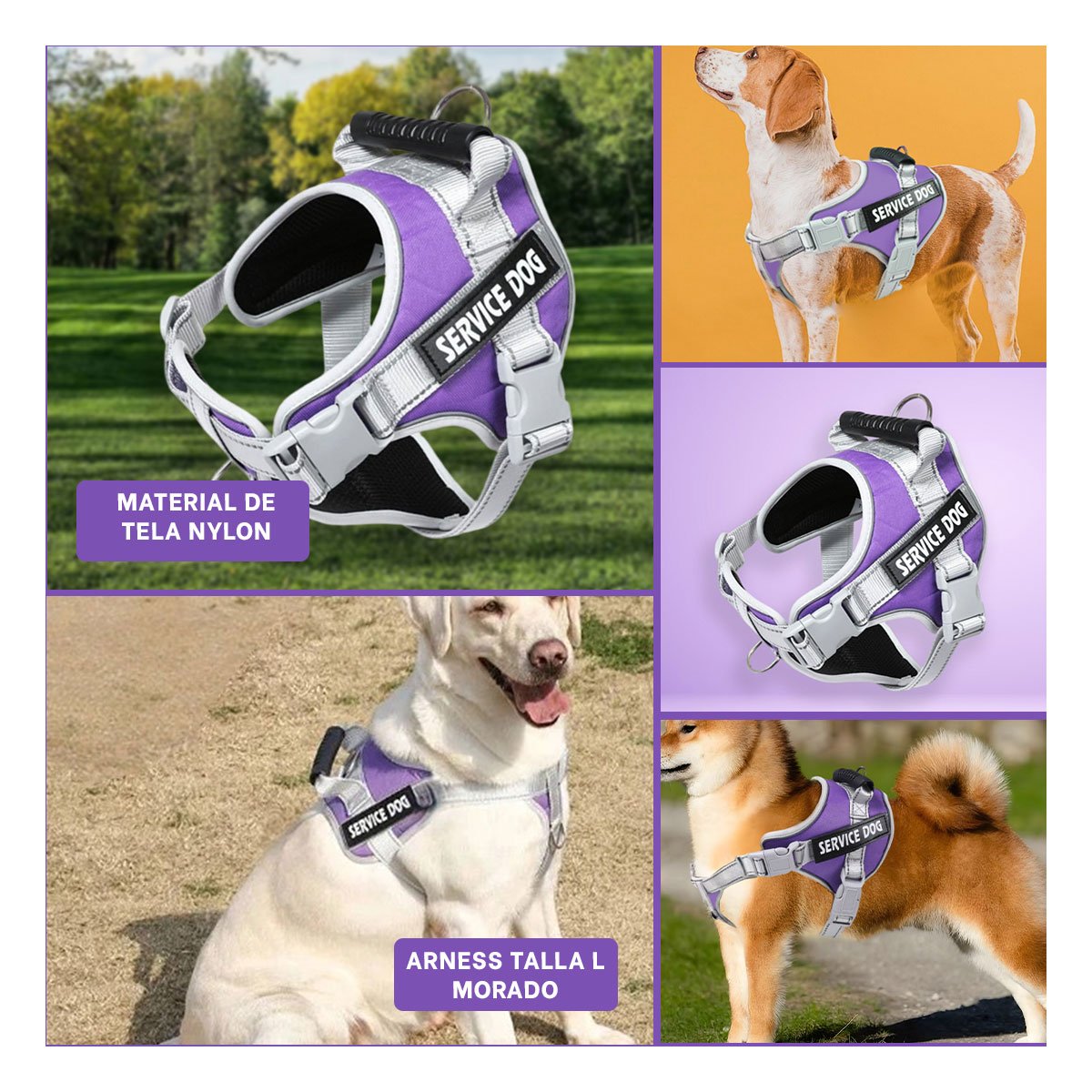 ARNES AJUSTABLE SERVICE DOG TALLA L MORADO CON ASA Y+POST IT - 5