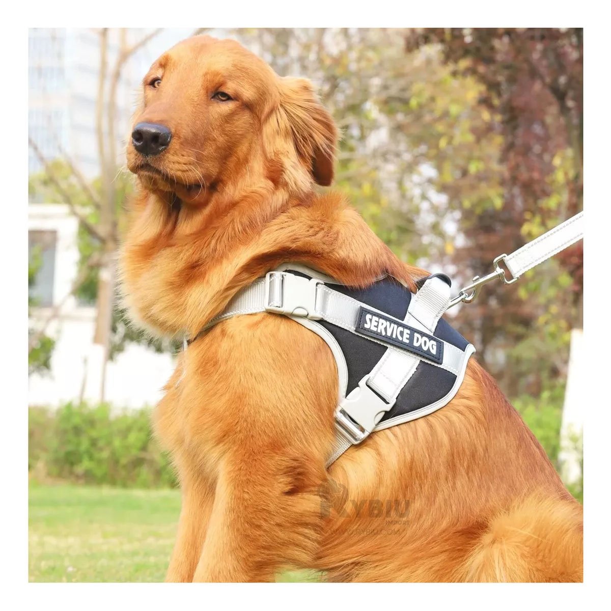 PACK4 ARNES RESISTENTE SERVICE DOG TALLA XL NEGRO CON ASA Y+PAPEL REGALO - 5