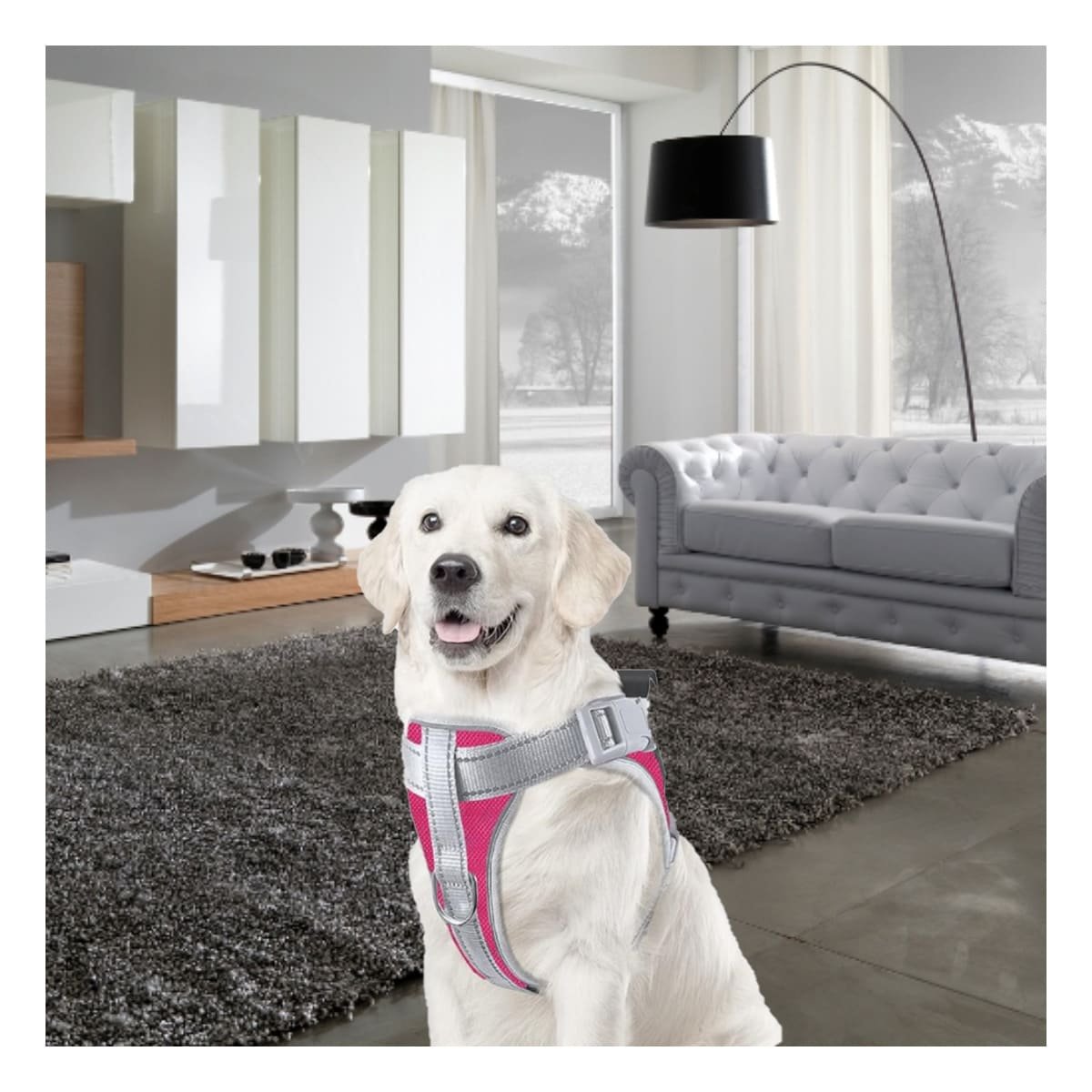 PACK6 HARNESS RESISTENTE SERVICE DOG TALLA XL FUCSIA CON ASA - 5