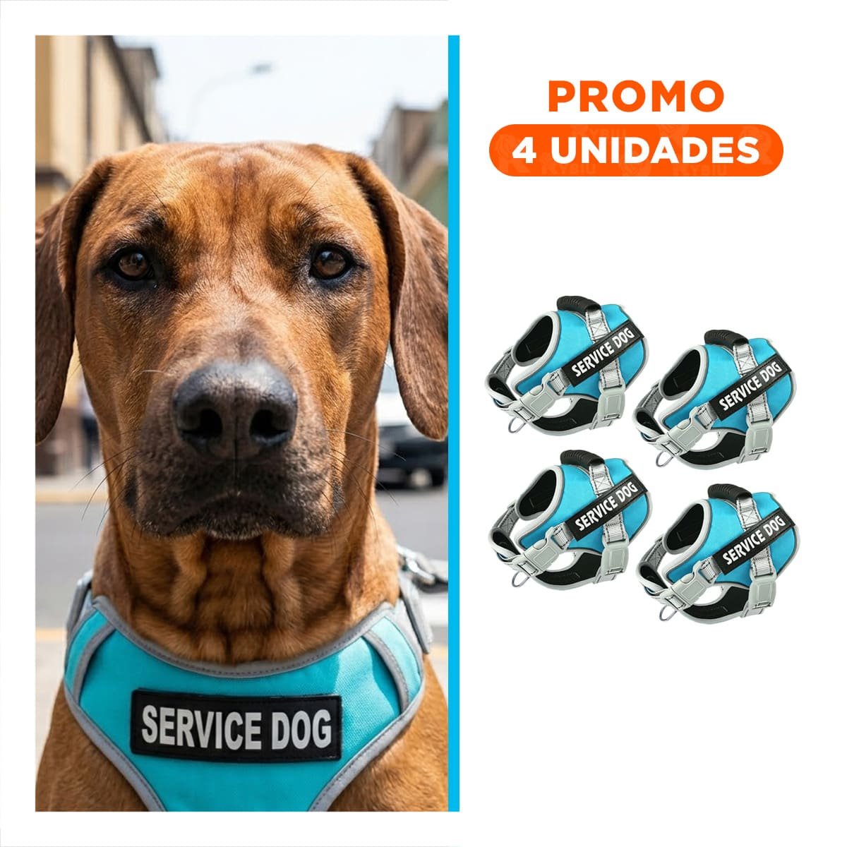 PACK4 CHALECO RESISTENTE SERVICE DOG TALLA L TURQUEZA CON ASA Y+REGALO STICKER - 1