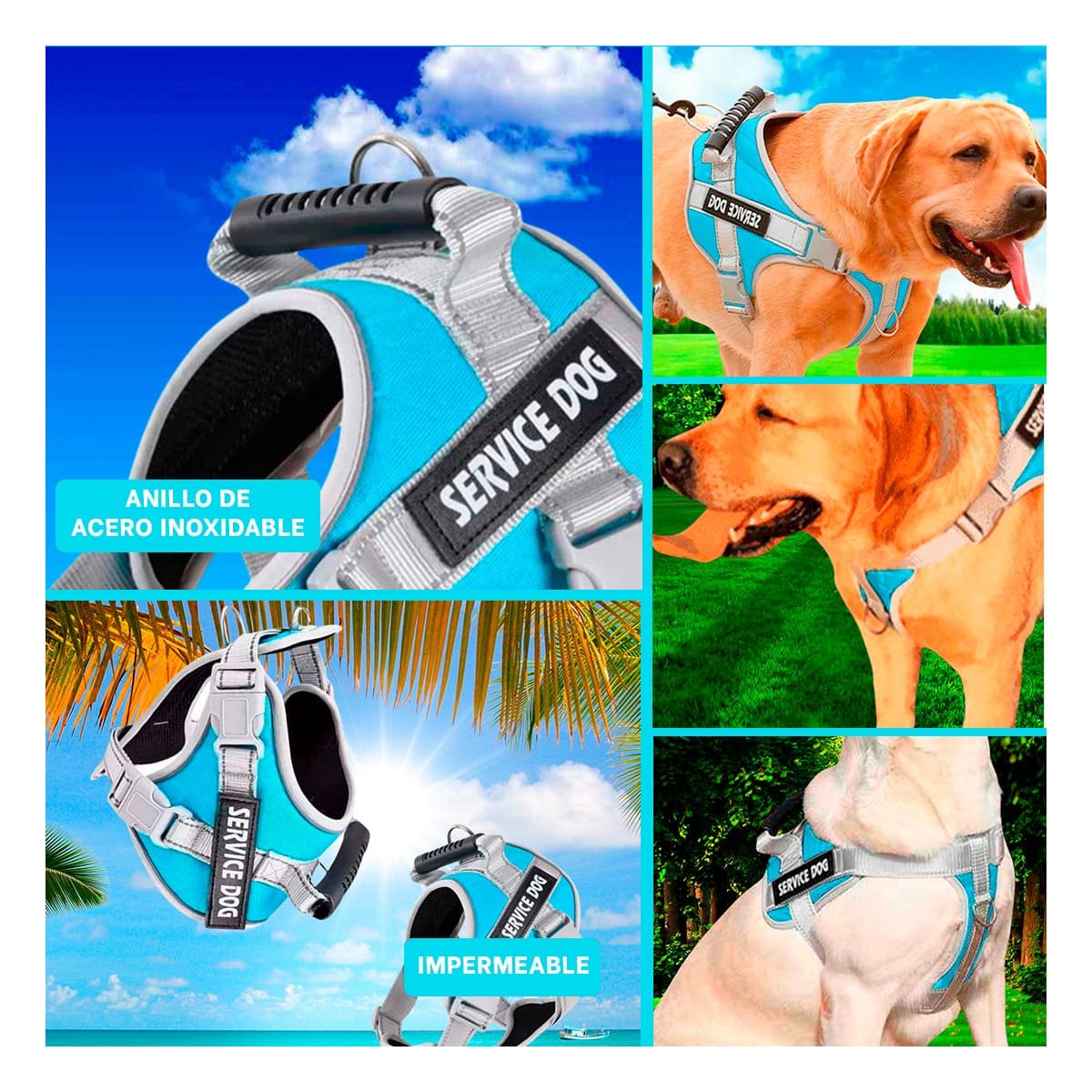 PACK4 CHALECO RESISTENTE SERVICE DOG TALLA L TURQUEZA CON ASA Y+REGALO STICKER - 2