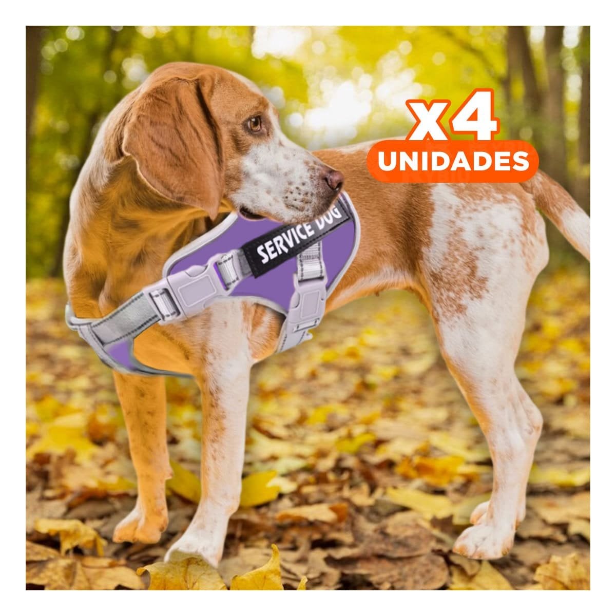 PACK4 PECHERA RESISTENTE SERVICE DOG TALLA L MORADO CON ASA - 1