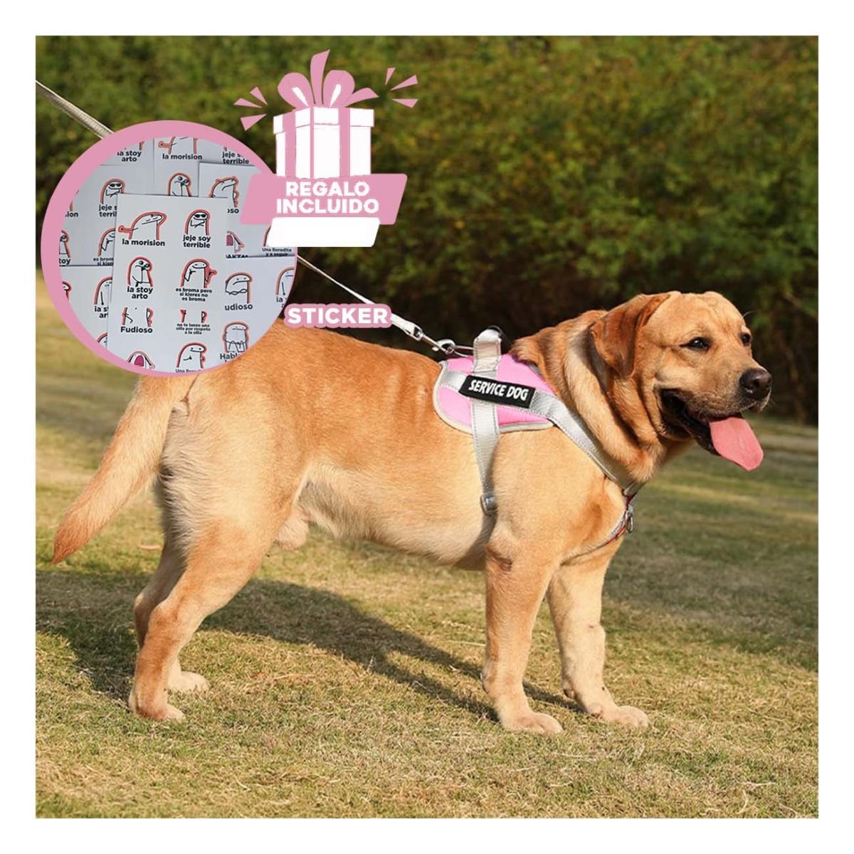 PETO PROFESIONAL SERVICE DOG TALLA XL ROSADO CLARO CON ASA Y+REGALO STICKER - 1