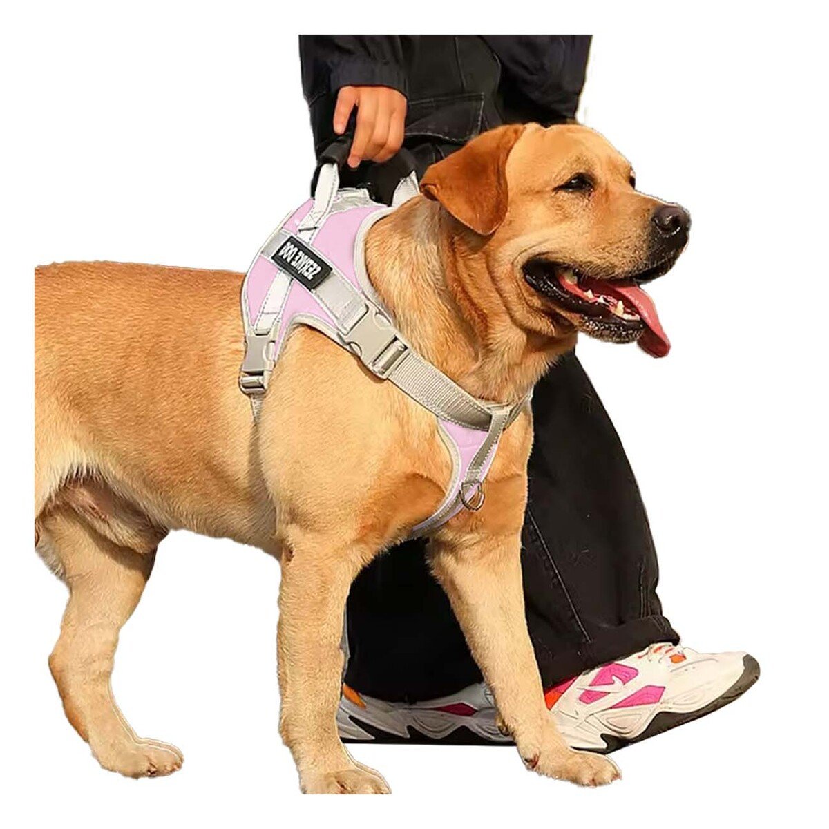 PETO PROFESIONAL SERVICE DOG TALLA XL ROSADO CLARO CON ASA Y+REGALO STICKER - 3