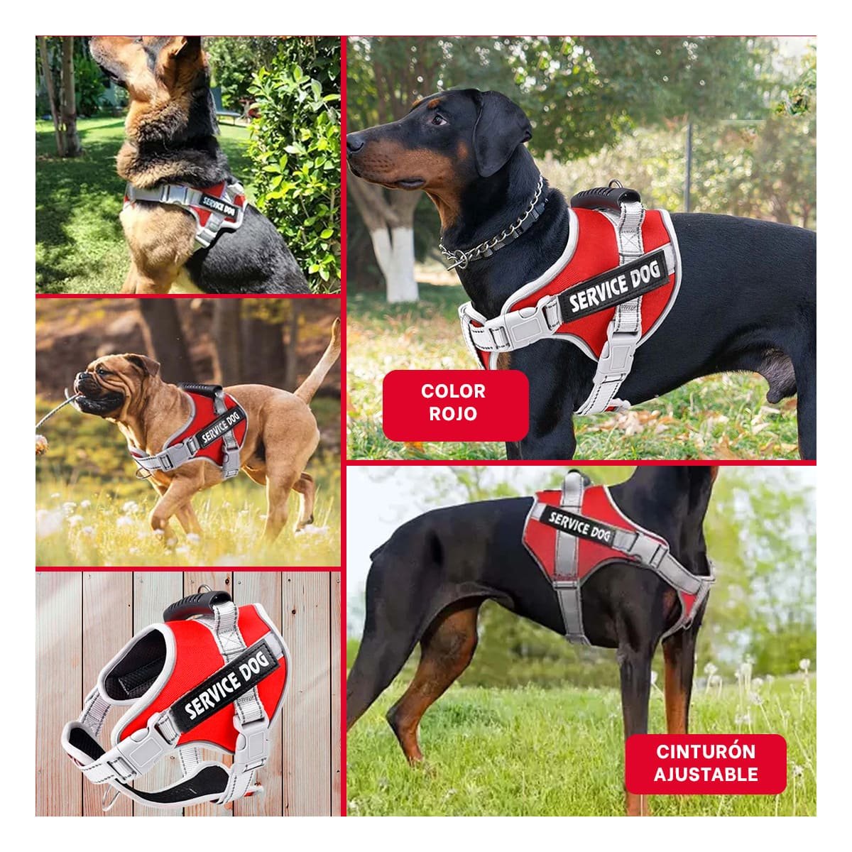 PECHERA AJUSTABLE SERVICE DOG TALLA L ROJO CON ASA Y+LIGAS REGALO - 5