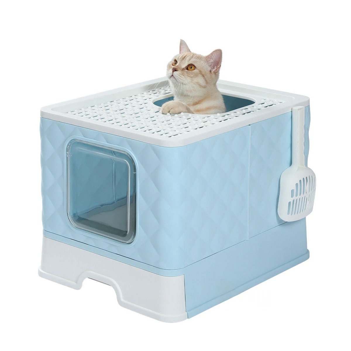 PACK4 SANITARIO TIPO CUBO DE GATO EN COLOR CELESTE CON ACCESORIO CERNIDOR Y+PAPEL REGALO - 3