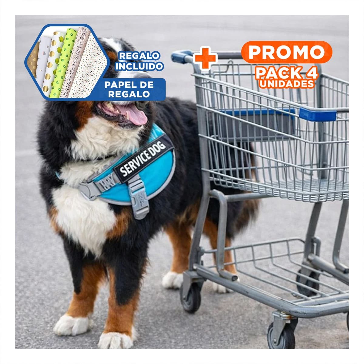 PACK4 ARNES RESISTENTE SERVICE DOG TALLA L TURQUEZA CON ASA Y+PAPEL REGALO - 1