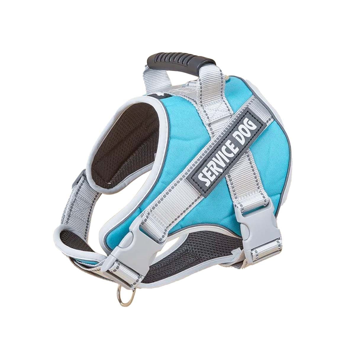 PACK4 ARNES RESISTENTE SERVICE DOG TALLA L TURQUEZA CON ASA Y+PAPEL REGALO - 3