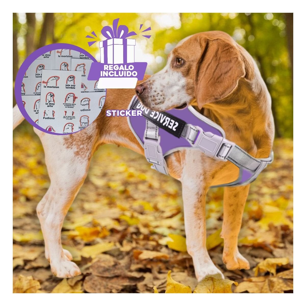 PETO PROFESIONAL SERVICE DOG TALLA L MORADO CON ASA Y+REGALO STICKER - 1