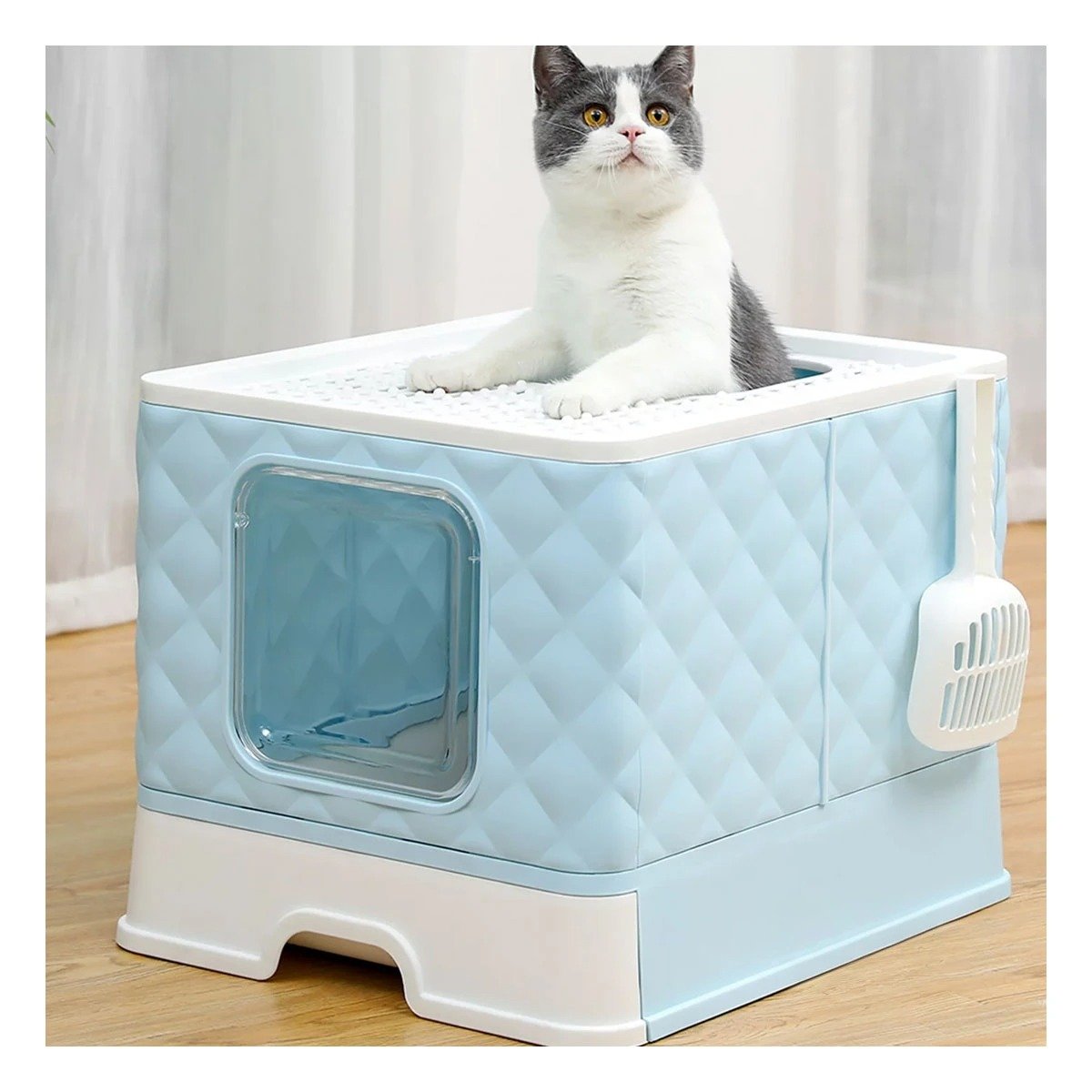 PACK4 SANITARIO HIGIENICO EN COLOR CELESTE PARA GATO CON SISTEMA DESMONTABLE Y+REGALO STICKER - 3