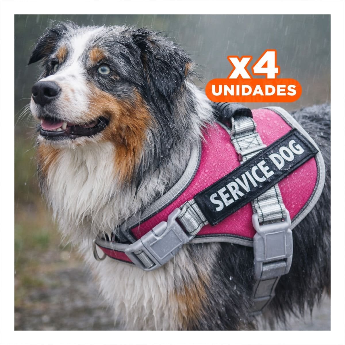 PACK4 PECHERA RESISTENTE SERVICE DOG TALLA L FUCSIA CON ASA - 1