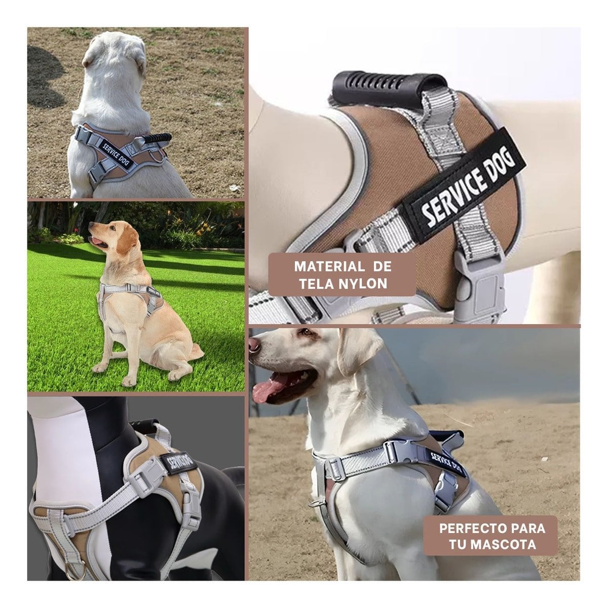 PACK4 CHALECO RESISTENTE SERVICE DOG TALLA XL MARRON CON ASA Y+REGALO STICKER - 2