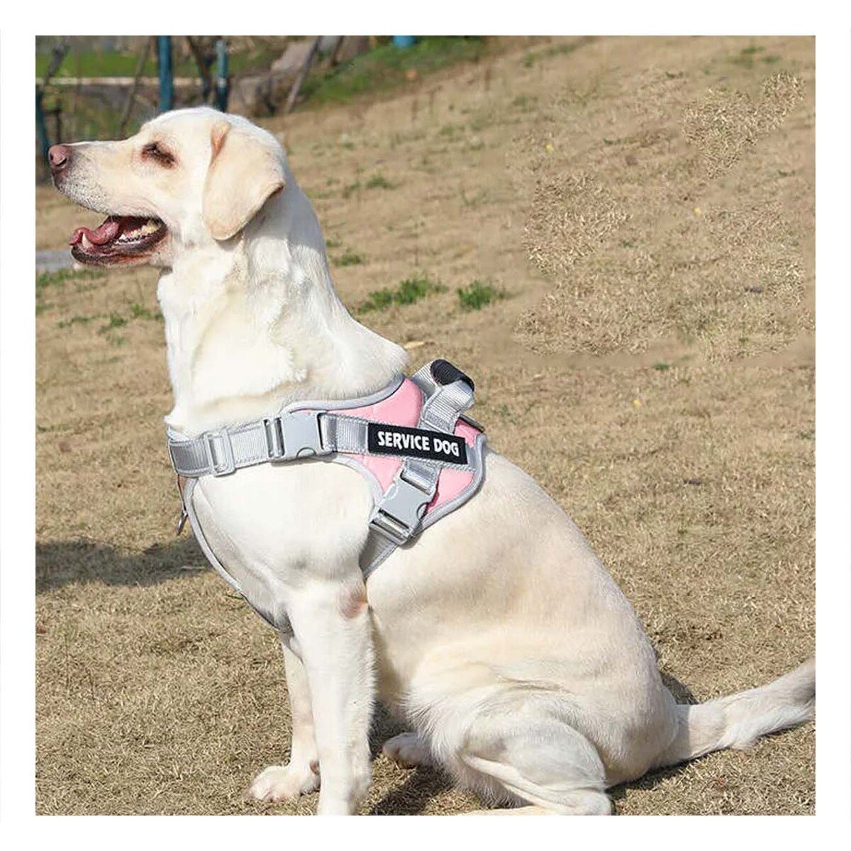 PACK2 CHALECO AJUSTABLE SERVICE DOG TALLA XL ROSADO CLARO CON ASA - 5