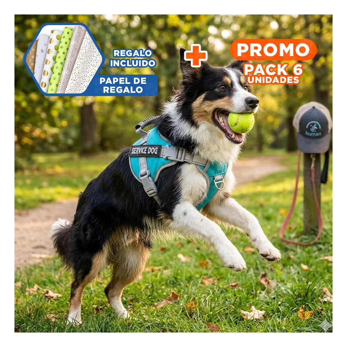 PACK6 PETO RESISTENTE SERVICE DOG TALLA L TURQUEZA CON ASA Y+PAPEL REGALO - 1