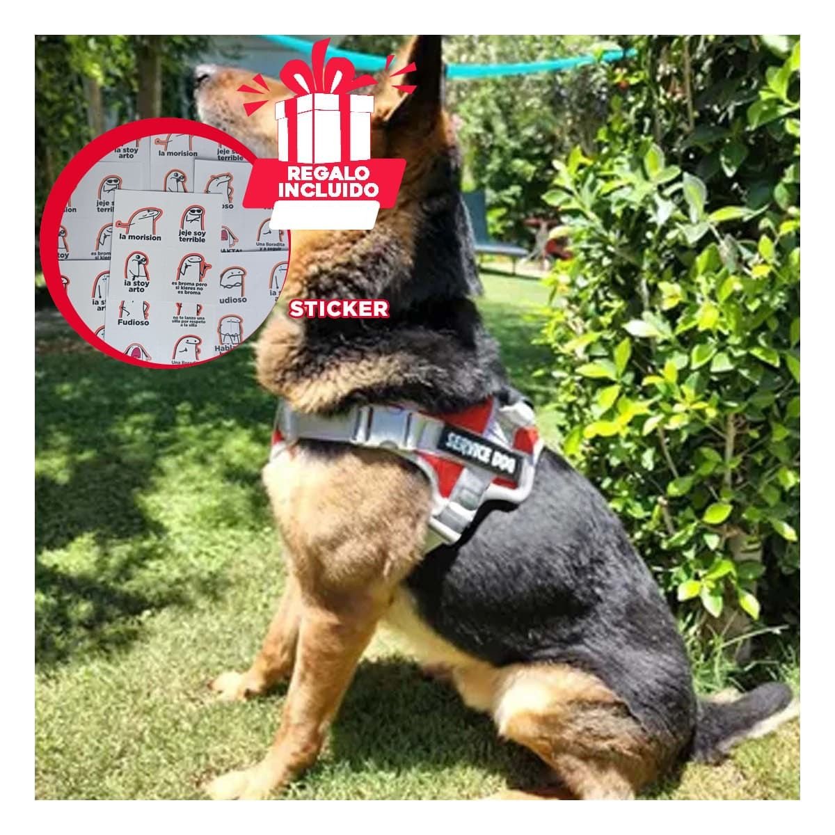 PETO PROFESIONAL SERVICE DOG TALLA L ROJO CON ASA Y+REGALO STICKER - 1