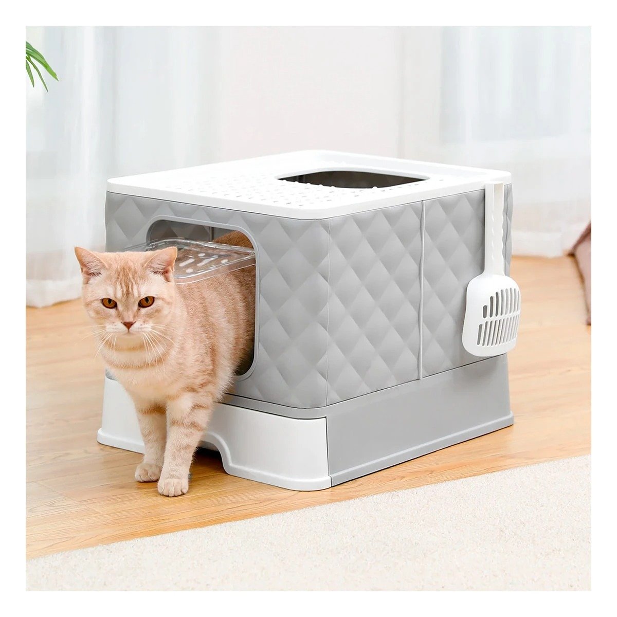 PACK4 SANITARIO TIPO CUBO DE GATO EN COLOR PLOMO CON ACCESORIO CERNIDOR Y+PAPEL REGALO - 2