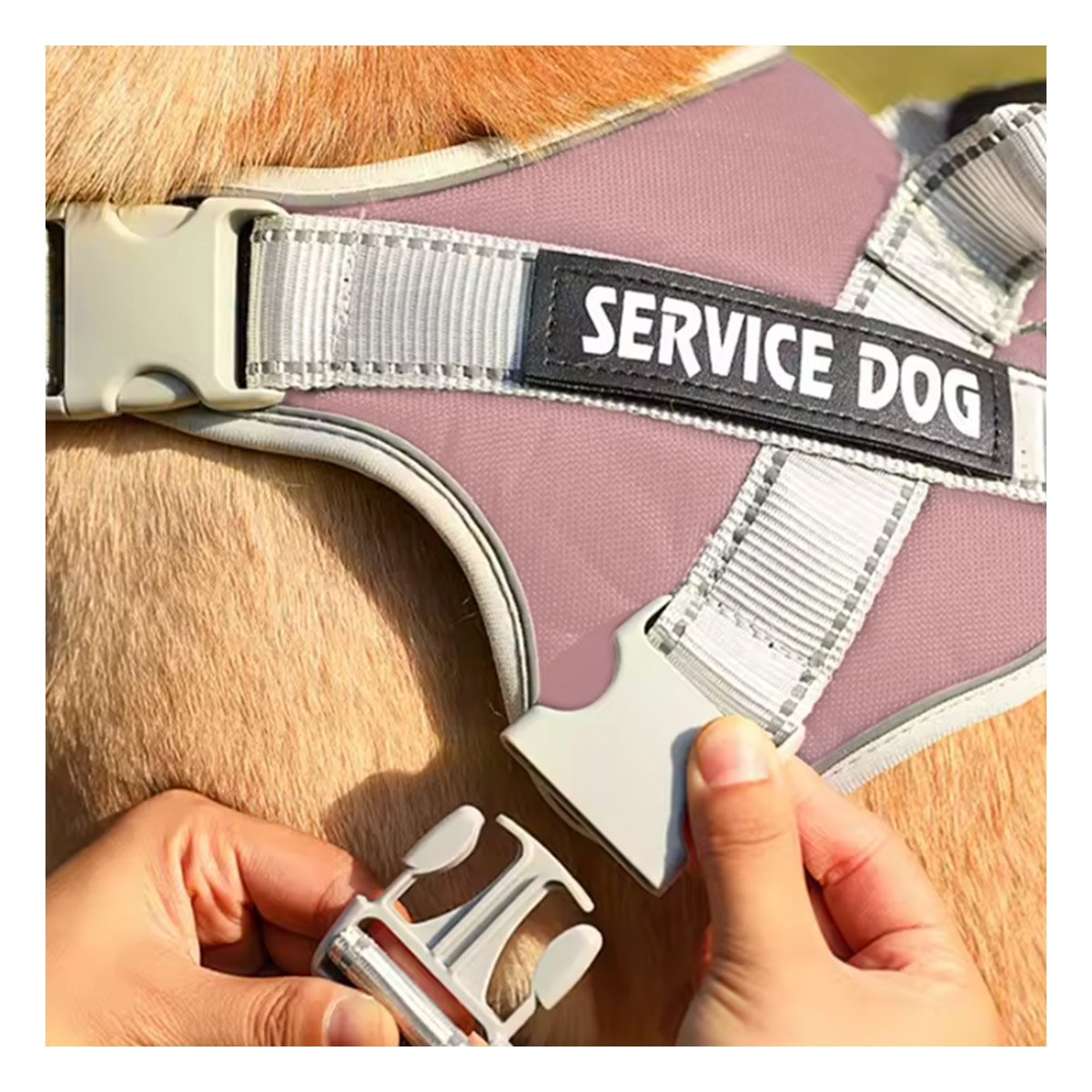 HARNESS PROFESIONAL SERVICE DOG TALLA L ROSADO CLARO CON ASA Y+PAPEL REGALO - 2