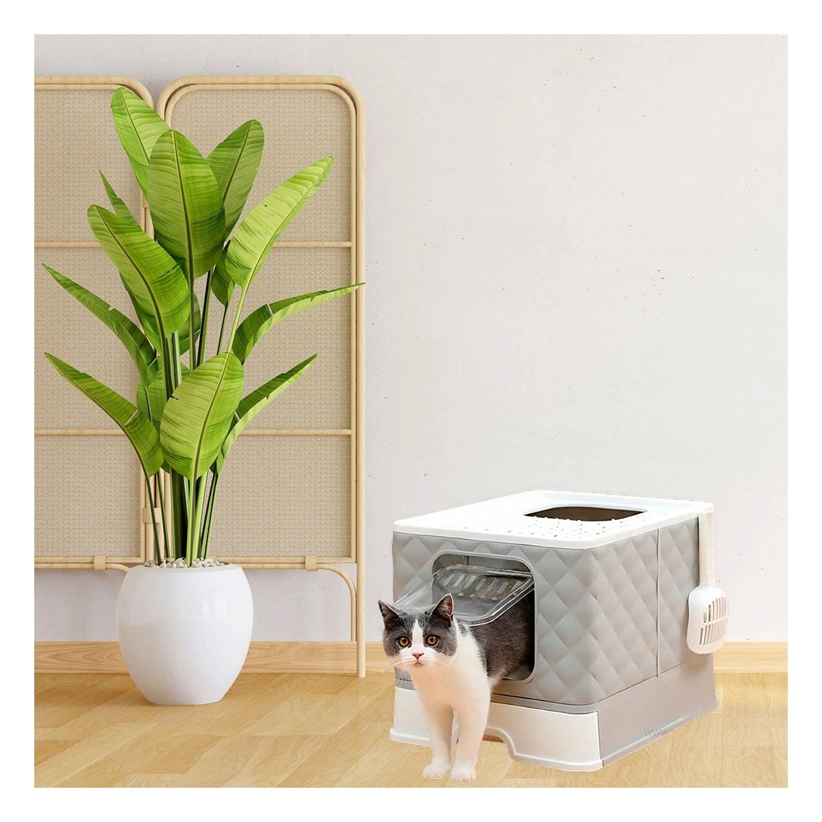PACK4 SANITARIO HIGIENICO EN COLOR PLOMO PARA GATO CON SISTEMA DESMONTABLE Y+REGALO STICKER - 5