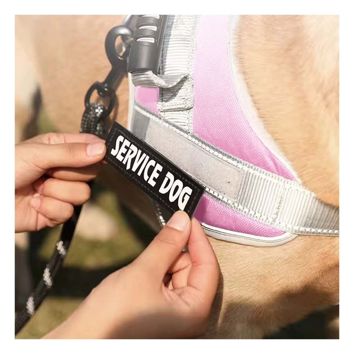 PACK4 CHALECO RESISTENTE SERVICE DOG TALLA XL ROSADO CLARO CON ASA Y+REGALO STICKER - 3