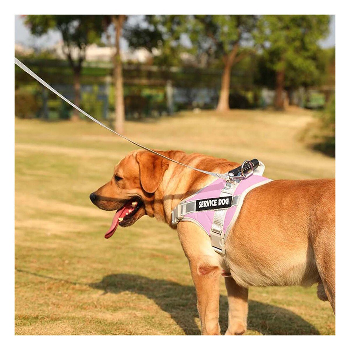 PACK4 CHALECO RESISTENTE SERVICE DOG TALLA XL ROSADO CLARO CON ASA Y+REGALO STICKER - 5