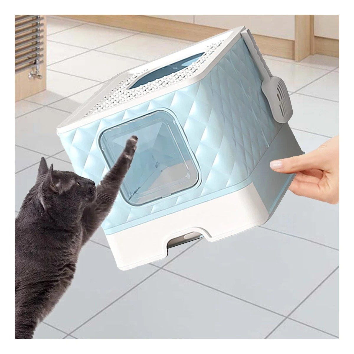 PACK4 SANITARIO FUNCIONAL DE GATO EN COLOR CELESTE CON PALA CERNIDORA INCLUIDA - 2