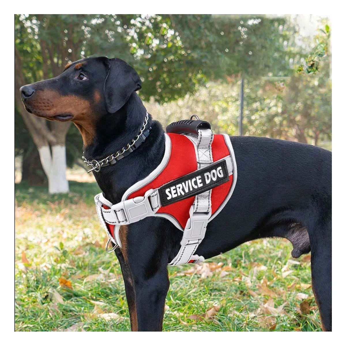 PACK6 HARNESS RESISTENTE SERVICE DOG TALLA L ROJO CON ASA - 2