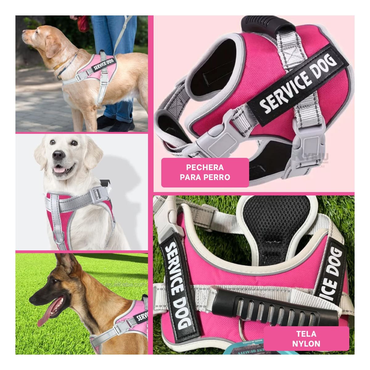 PACK4 CHALECO RESISTENTE SERVICE DOG TALLA XL FUCSIA CON ASA Y+REGALO STICKER - 2