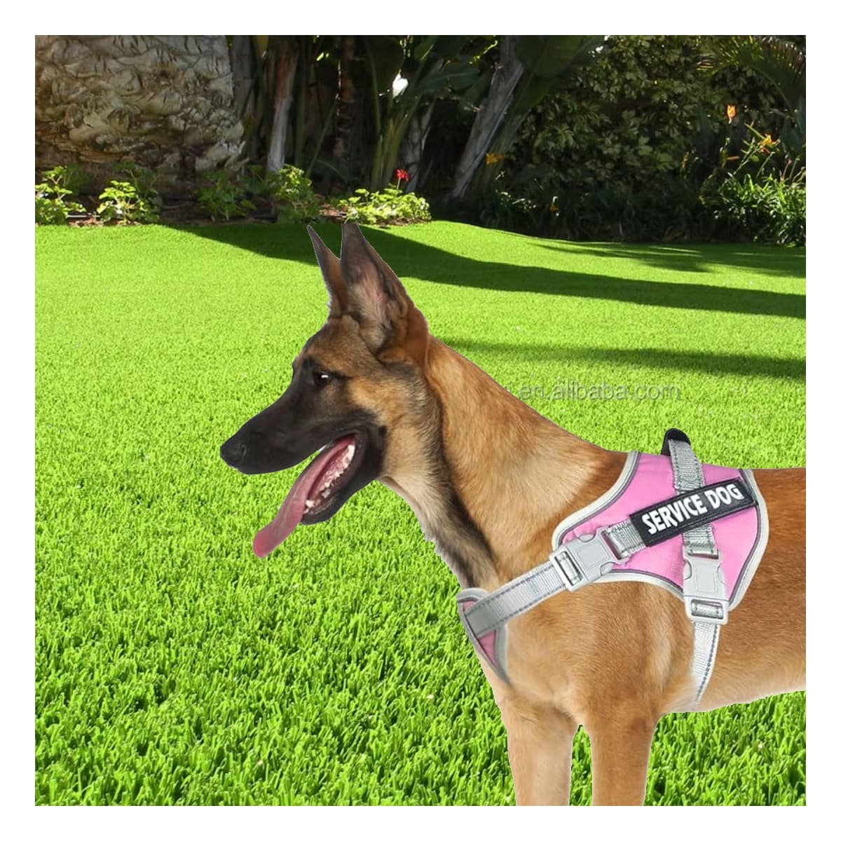 PACK4 CHALECO RESISTENTE SERVICE DOG TALLA XL FUCSIA CON ASA Y+REGALO STICKER - 3