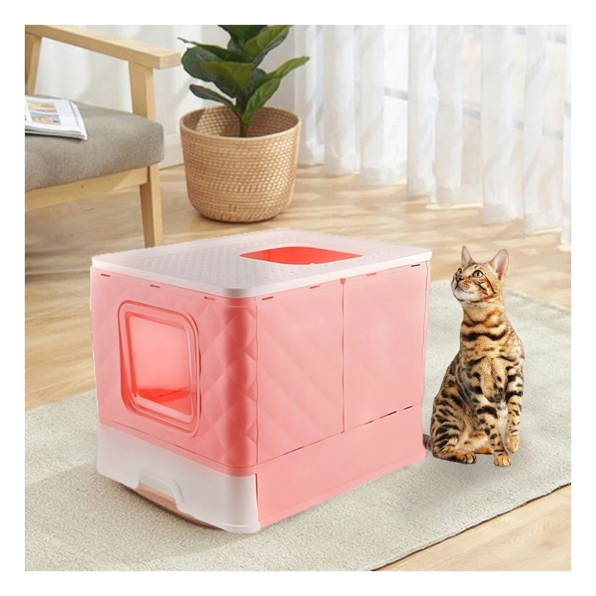 PACK4 SANITARIO TIPO CUBO DE GATO EN COLOR ROSADO CON ACCESORIO CERNIDOR Y+PAPEL REGALO - 5