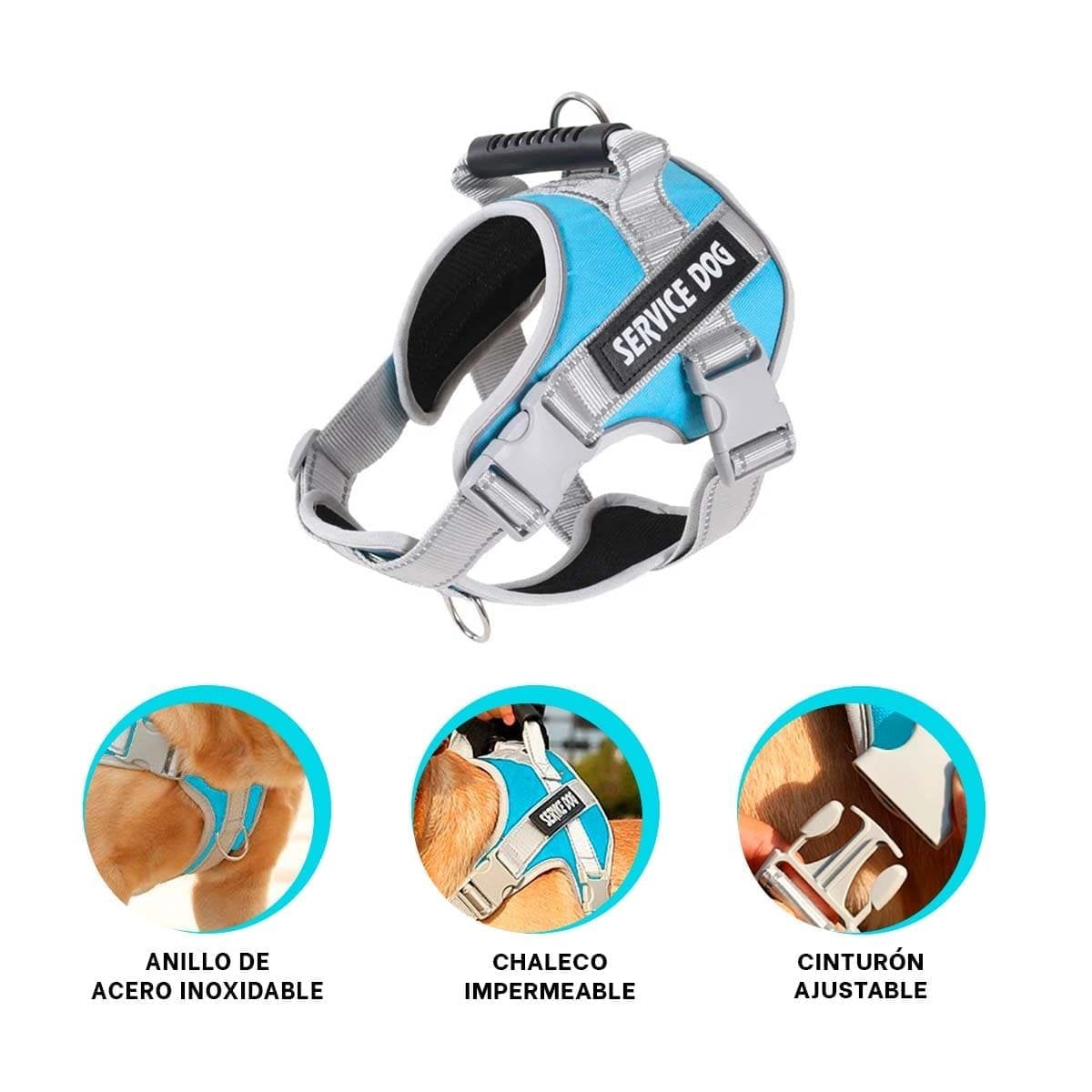 CHALECO PROFESIONAL SERVICE DOG TALLA XL TURQUEZA CON ASA - 3