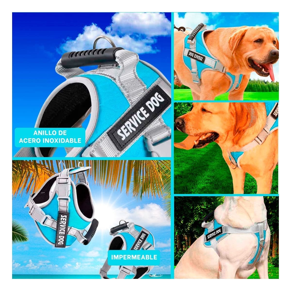 CHALECO PROFESIONAL SERVICE DOG TALLA XL TURQUEZA CON ASA - 5
