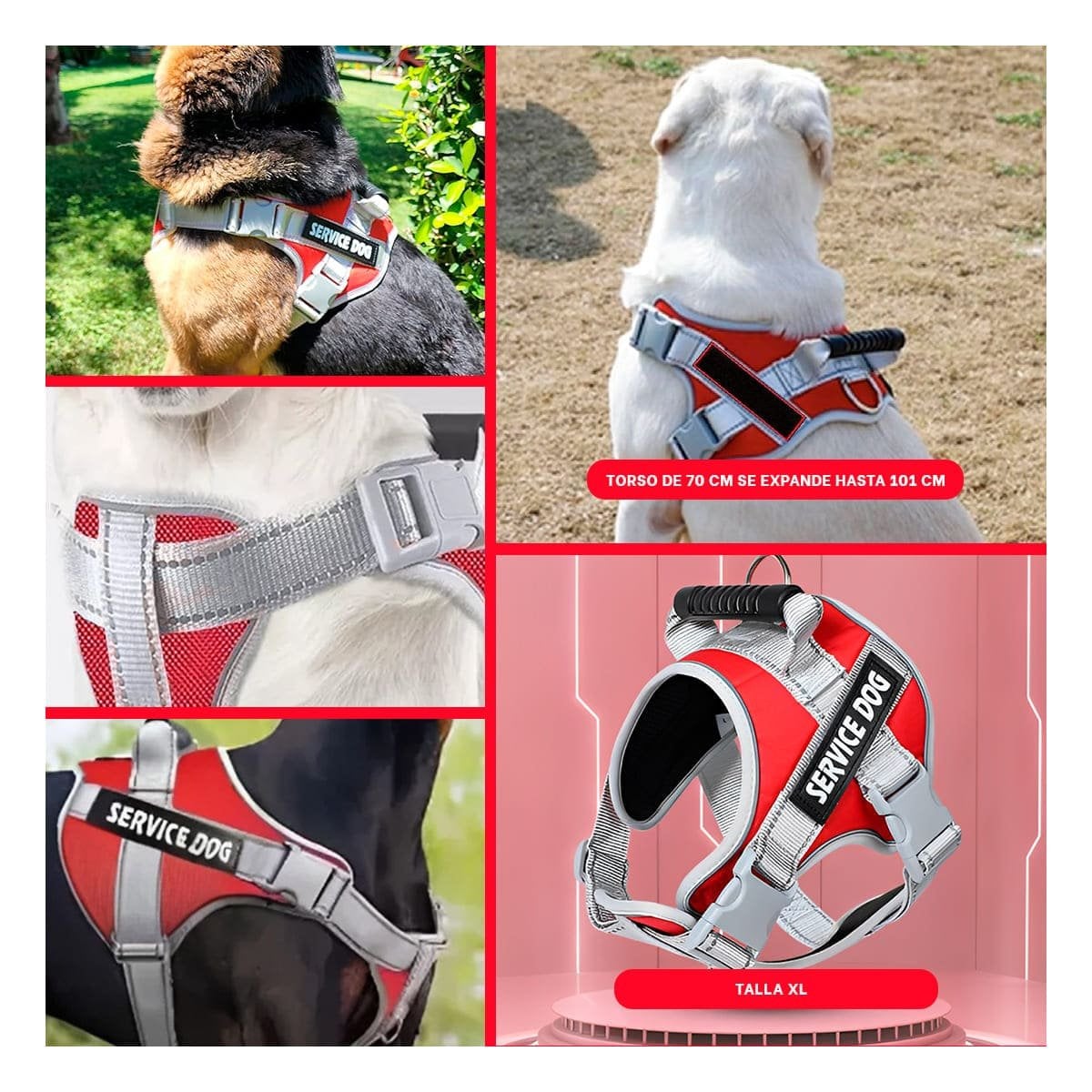 ARNES AJUSTABLE SERVICE DOG TALLA XL ROJO CON ASA Y+POST IT - 5