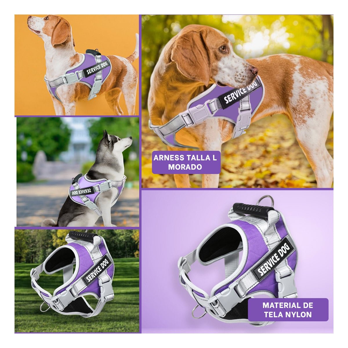 PECHERA AJUSTABLE SERVICE DOG TALLA L MORADO CON ASA Y+LIGAS REGALO - 5