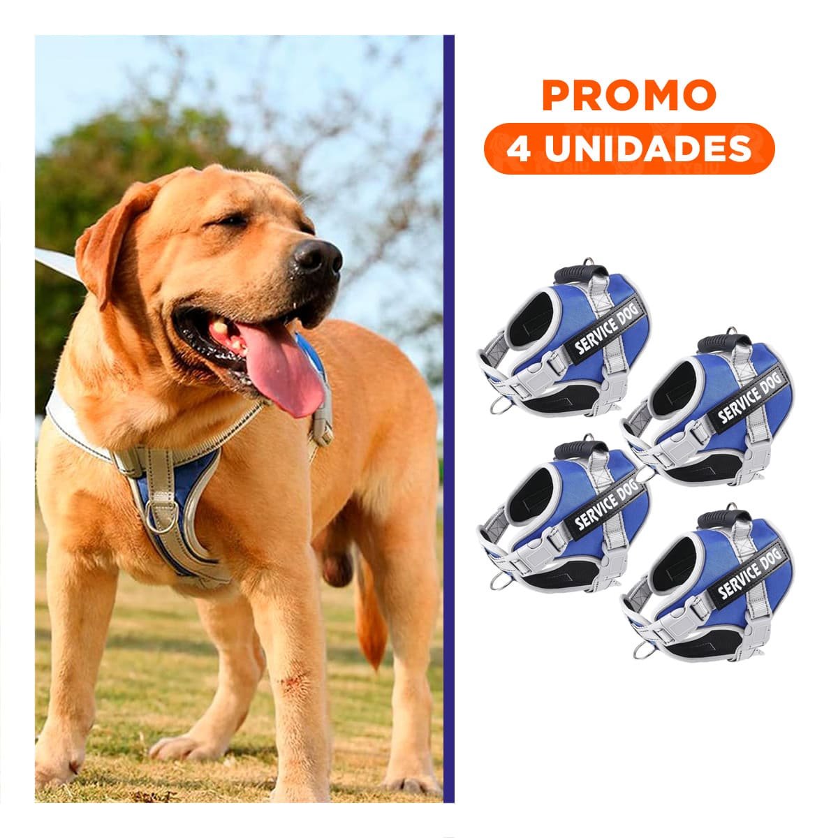 PACK4 CHALECO RESISTENTE SERVICE DOG TALLA XL AZUL CON ASA Y+REGALO STICKER - 1