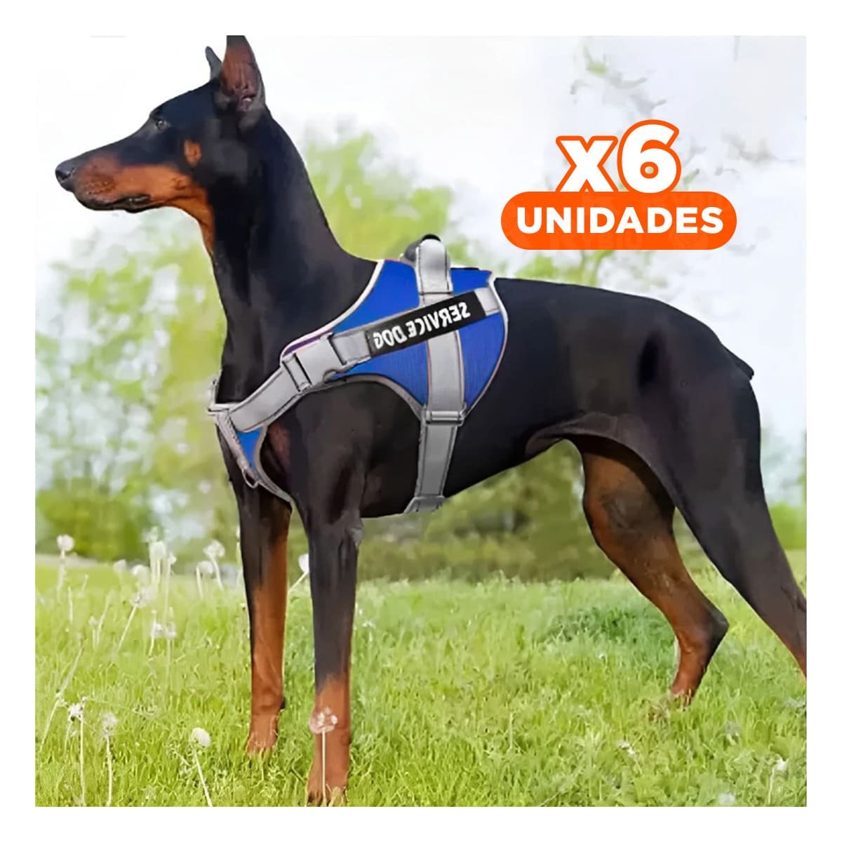 PACK6 PECHERA COMODA SERVICE DOG TALLA XL AZUL CON ASA Y+REGALO STICKER - 1