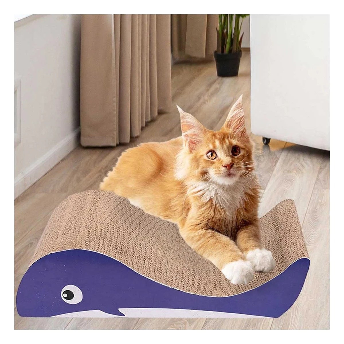 PACK4 RASCADOR EN MARRON DE CARTON CON FIGURA DE BALLENA PARA RASGUÑO DIARIO Y+PAPEL REGALO - 5