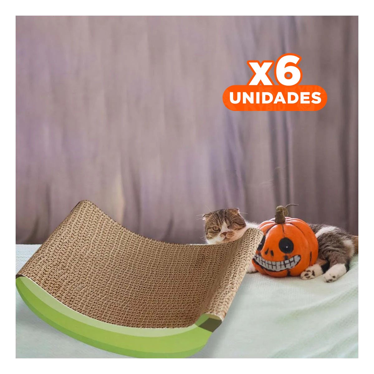PACK6 ESTRUCTURA FUNCIONAL PLATANO EN COLOR MARRON PARA USO DIARIO Y+REGALO STICKER - 1