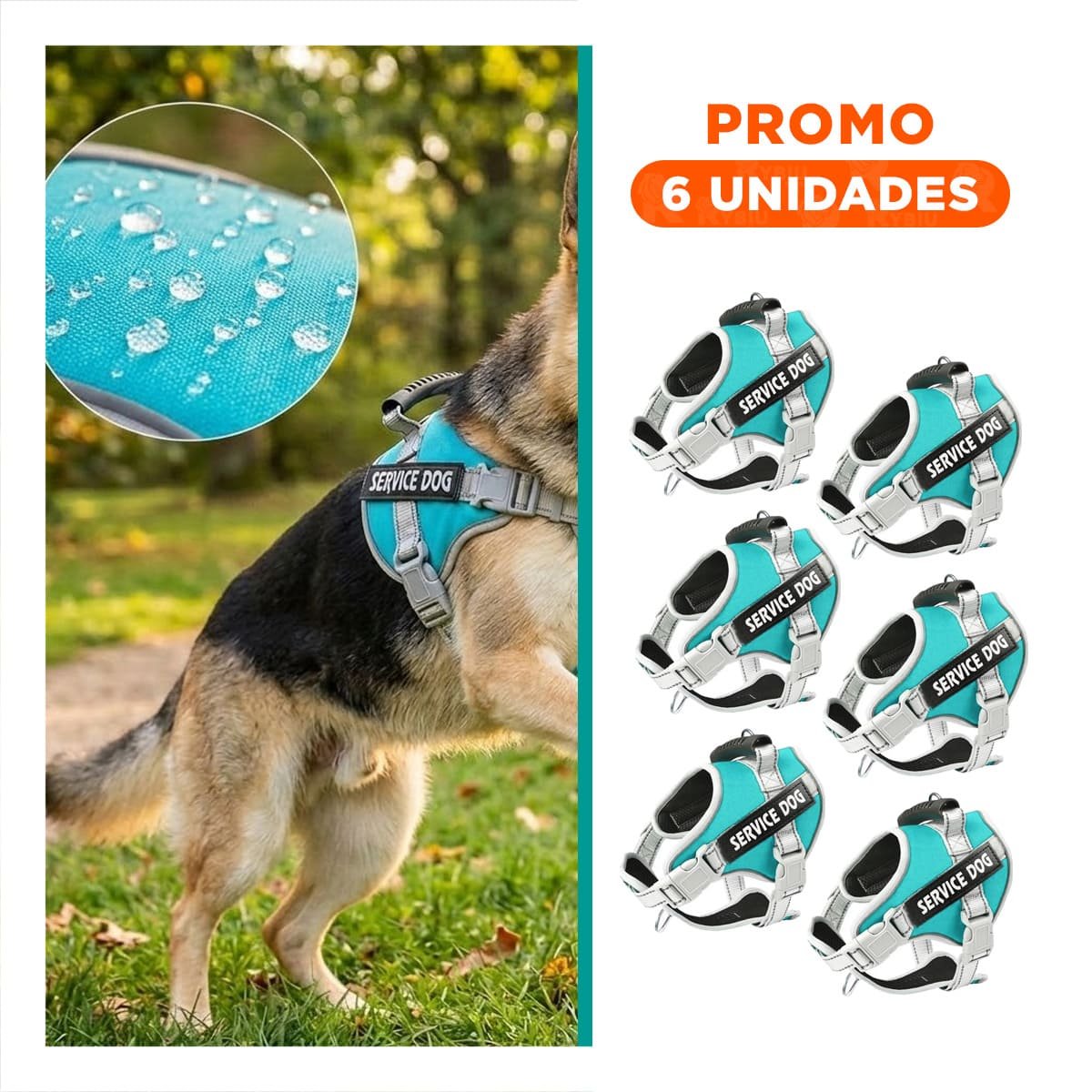 PACK6 HARNESS RESISTENTE SERVICE DOG TALLA XL TURQUEZA CON ASA - 1