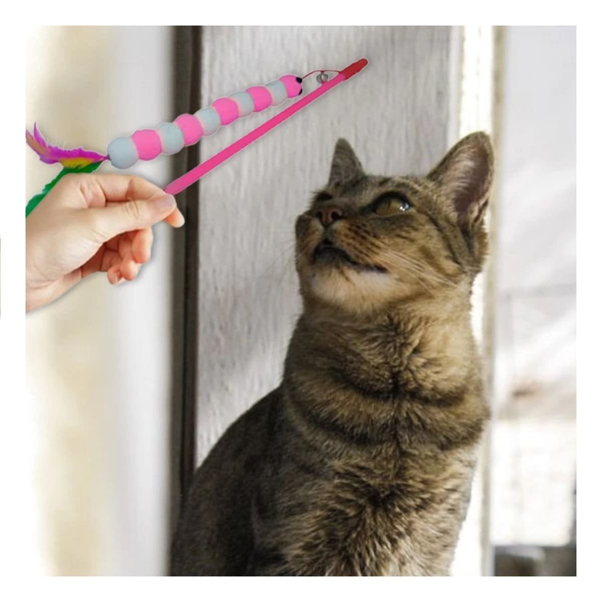 PACK2 VARITA DE JUEGO PARA GATO EN PLASTICO EN COLOR ROSADO CON BOLITAS DECORATIVAS - 3