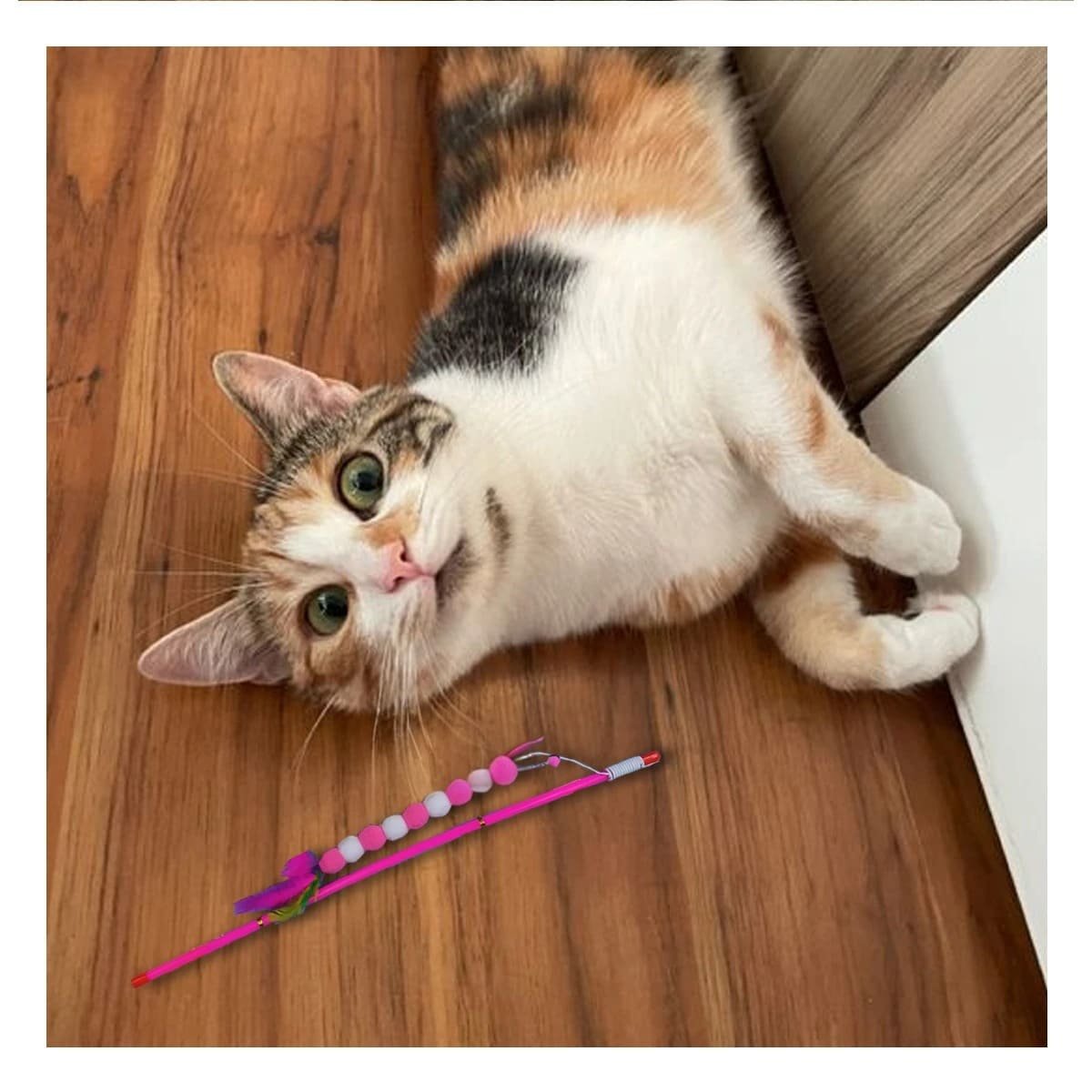 PACK6 ACCESORIO DE PLASTICO PARA GATO CON BOLITAS COLOR ROSADO EN JUEGO ACTIVO Y+PAPEL REGALO - 5