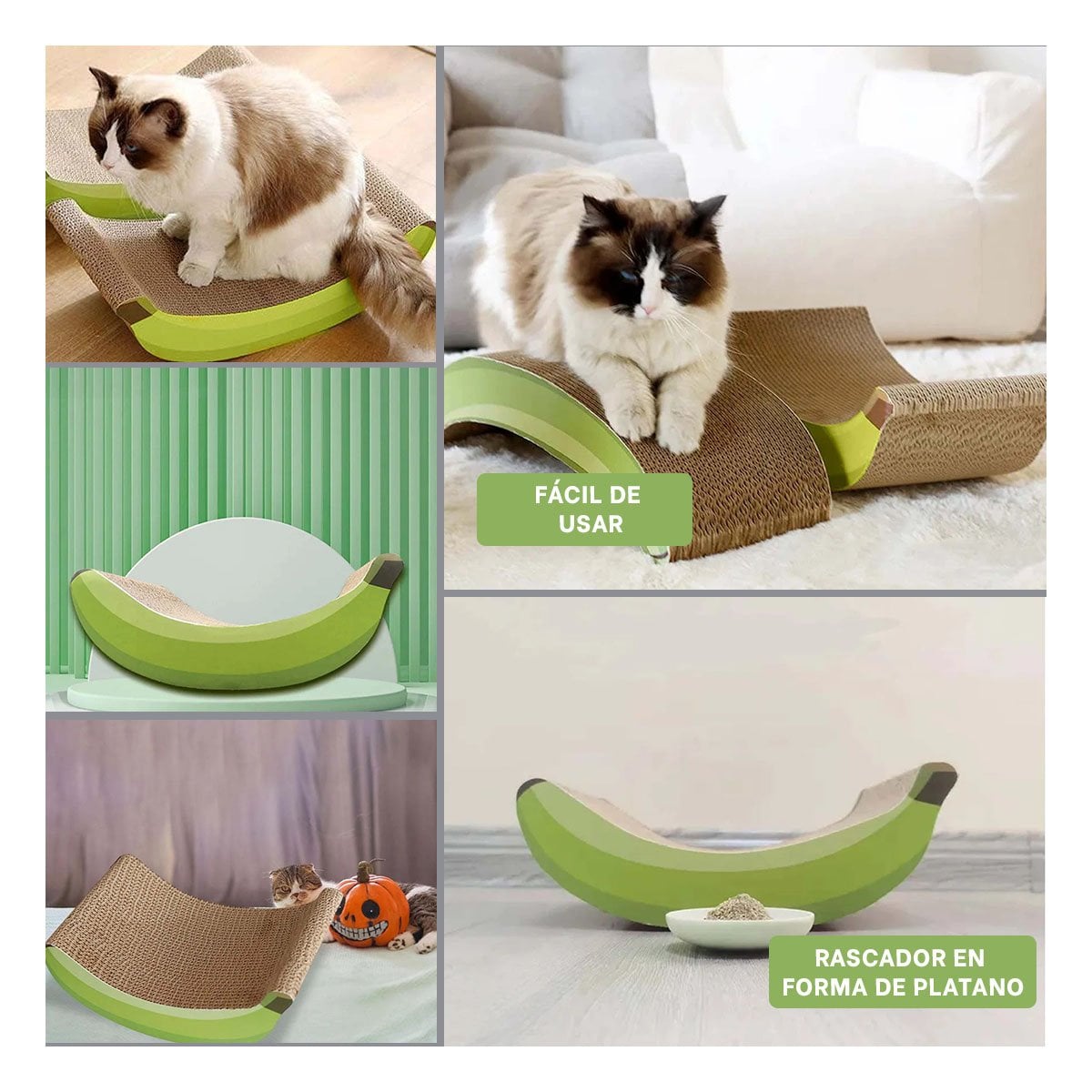 PACK6 ESTRUCTURA ANIMAL PLATANO EN COLOR MARRON DE CARTON REFORZADO Y+PAPEL REGALO - 3