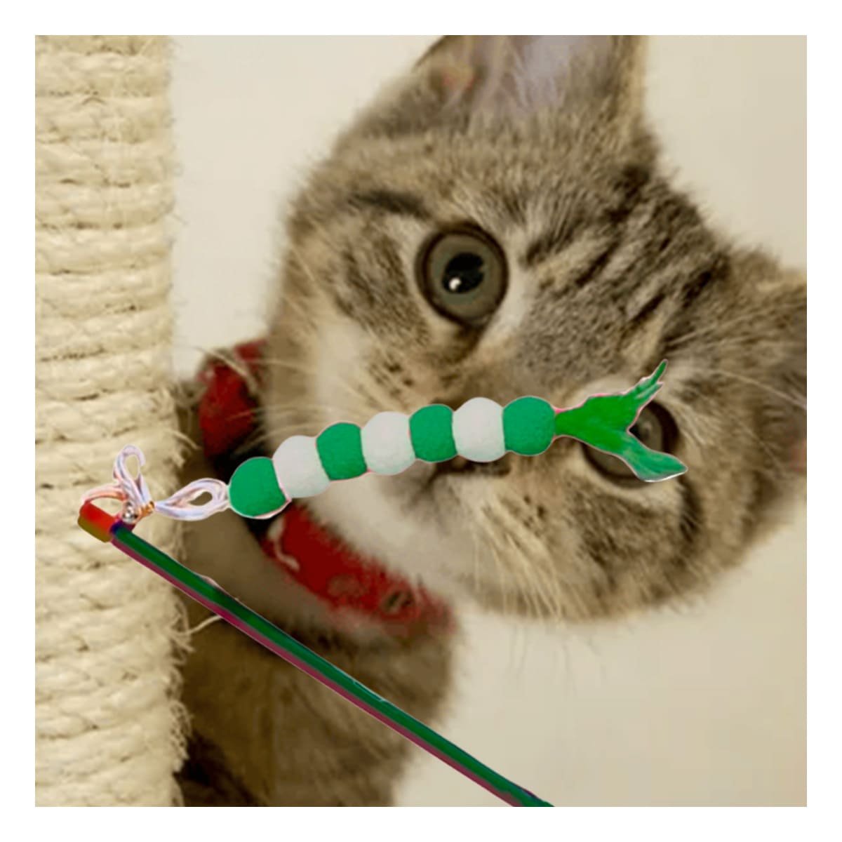 PACK2 VARITA DE JUEGO PARA GATO EN PLASTICO EN COLOR VERDE CON BOLITAS DECORATIVAS - 5