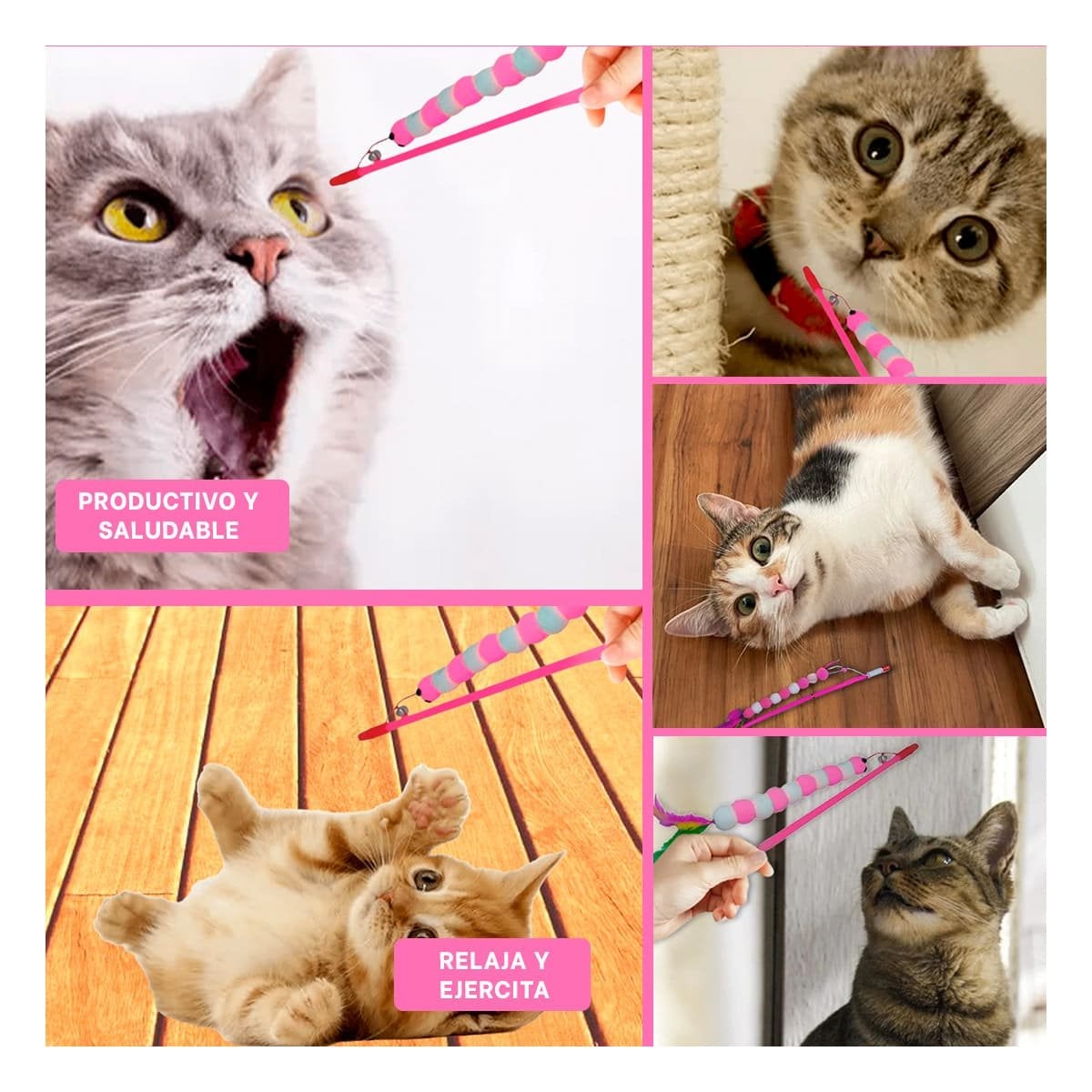 PACK4 ESTIMULO DE PLASTICO PARA GATO CON BOLITAS COLOR ROSADO EN JUEGO ACTIVO Y+REGALO STICKER - 2