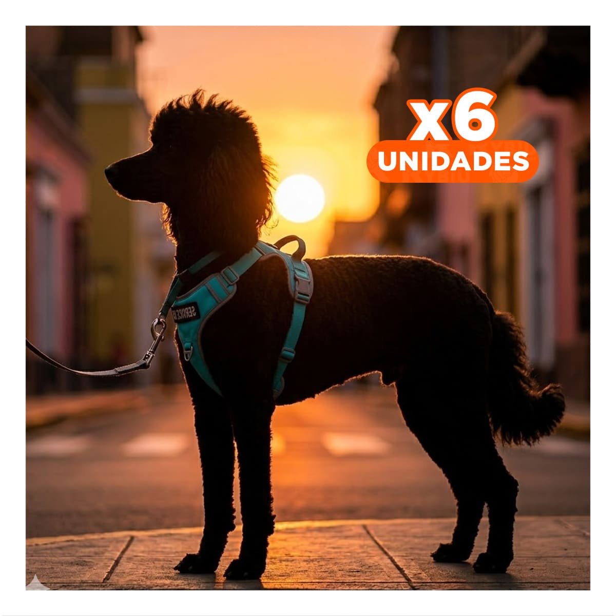 PACK6 PECHERA COMODA SERVICE DOG TALLA L TURQUEZA CON ASA Y+REGALO STICKER - 1