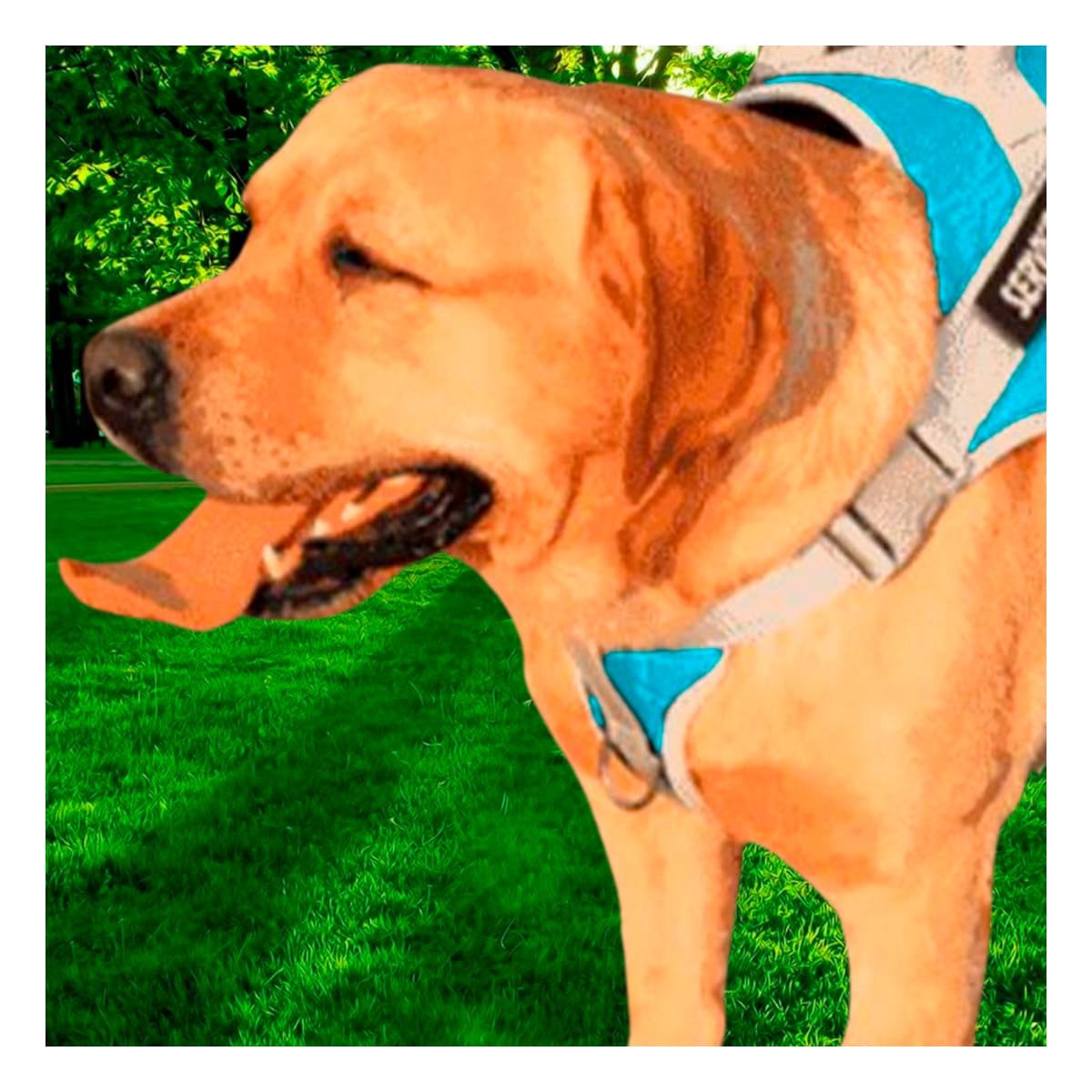 PACK6 PECHERA COMODA SERVICE DOG TALLA L TURQUEZA CON ASA Y+REGALO STICKER - 5