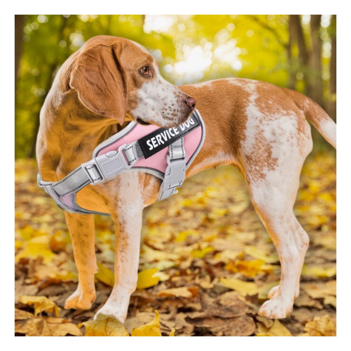 PACK2 CHALECO AJUSTABLE SERVICE DOG TALLA L ROSADO CLARO CON ASA - 5